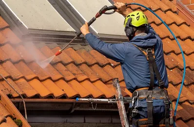 Démoussage et hydrofuge de toiture au Ribay